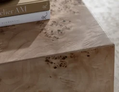 Anissa Burl Wood End Table