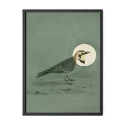 Antique Bird Thyme Wall Art