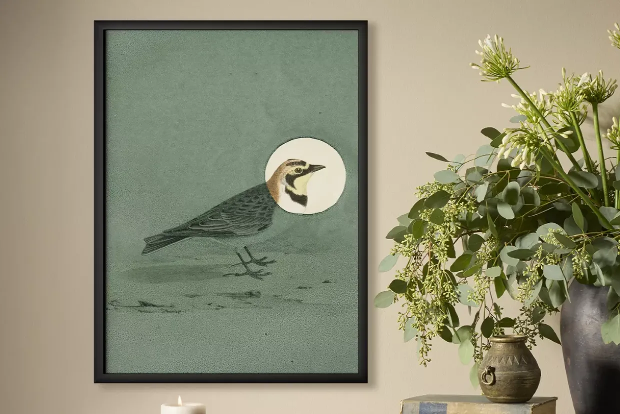 Antique Bird Thyme Wall Art