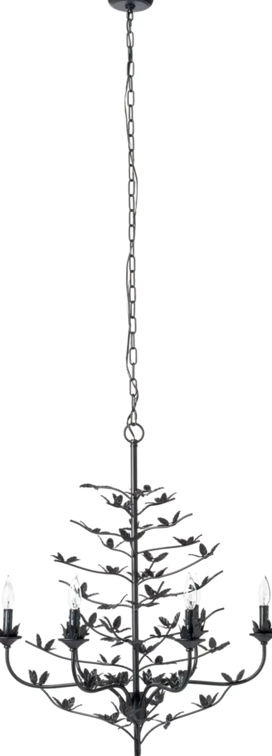 Coralina Chandelier