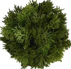 Cypress Greenery