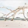 Driftwood Sands Wall Decor