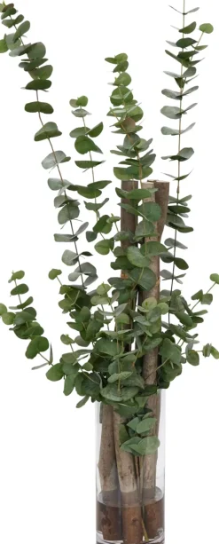 Eucalyptus Wood Greenery