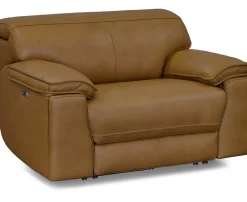 Genesis Power Recliner