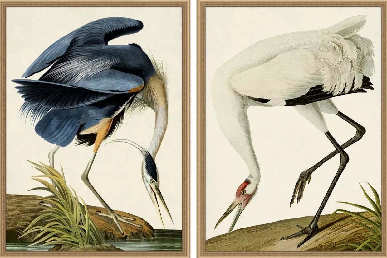 Grand Blue Heron Framed Art