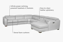 Leo Sectional