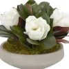 Magnolia Blooms Floral