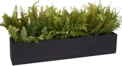 Mixed Fern Floral