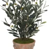 Olive Spray II Greenery