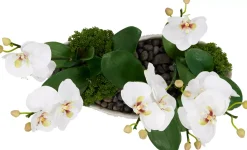 Orchid Skimmia Floral