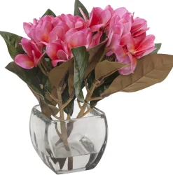 Plumeria Floral