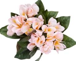 Plumeria Floral