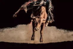 Ride To Victory Wall Decor