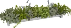 Sage Lavender Arrangement