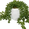 Sedum Spray Greenery