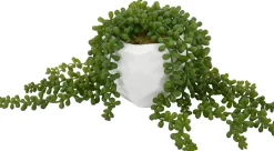 Sedum Spray Greenery