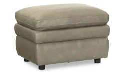 Stanley Ottoman