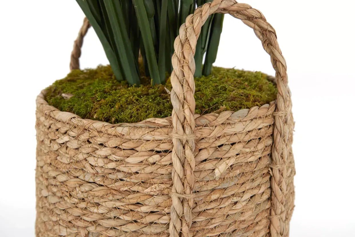 Tall Grass Floral