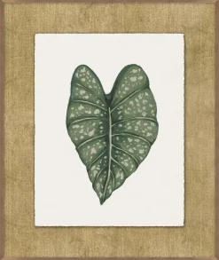 Timeless Tropics Wall Decor