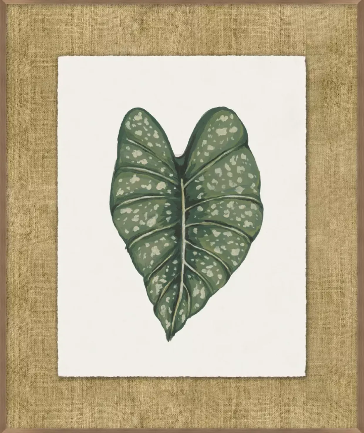 Timeless Tropics Wall Decor
