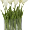 Tulip Floral
