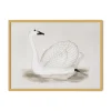 Vintage Swan Wall Art
